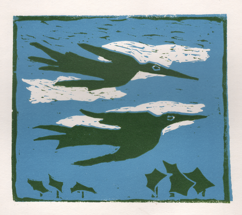 Clear_blue_flight_wide_thumb