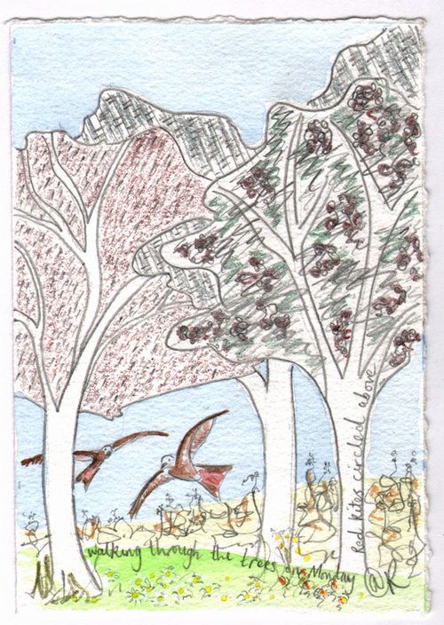 Trees_monday_wide_thumb