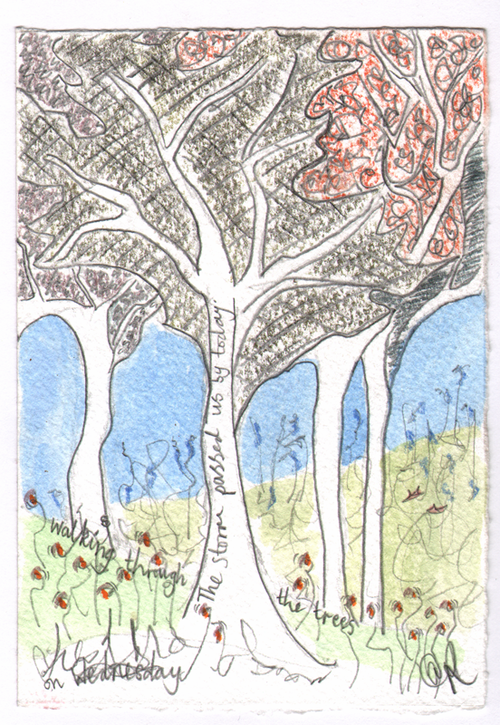 Trees_wednesday_wide_thumb