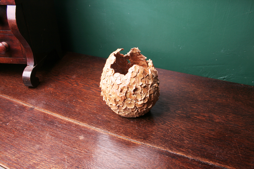 Dragon_egg_wide_thumb