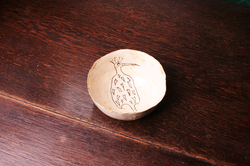 African_bird_2_wide_thumb