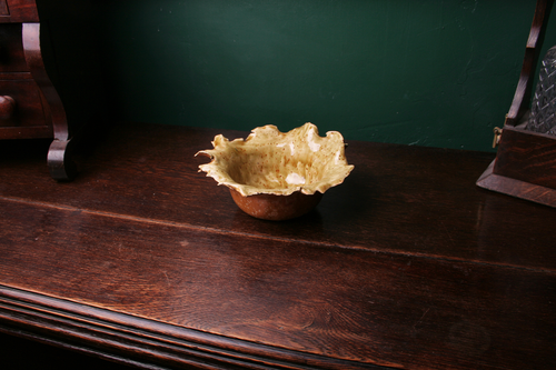 Mushroom_leaf_bowl_1_wide_thumb