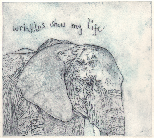 Wrinkles_elephant_grey_wide_thumb