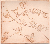 Line_walking_birds_big_thumb